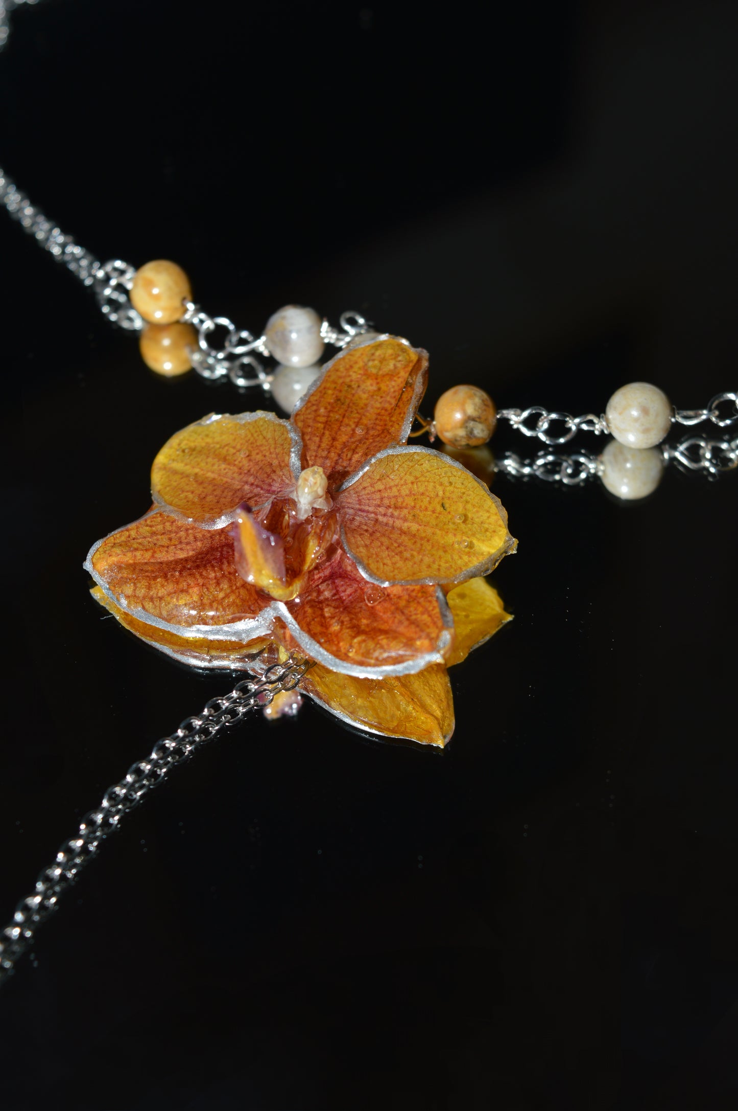 Orquídea Dama del Atardecer