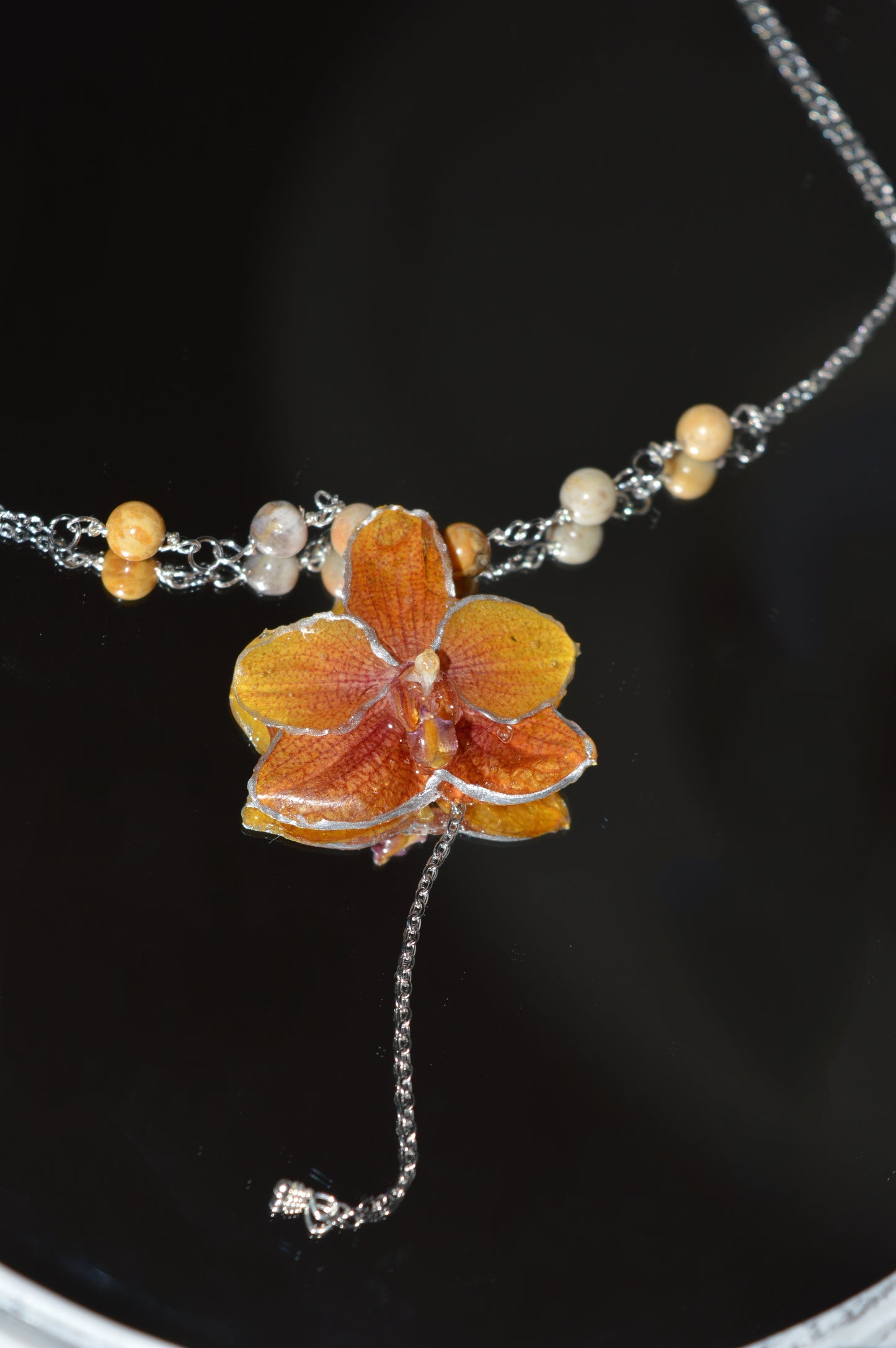 Orquídea Dama del Atardecer
