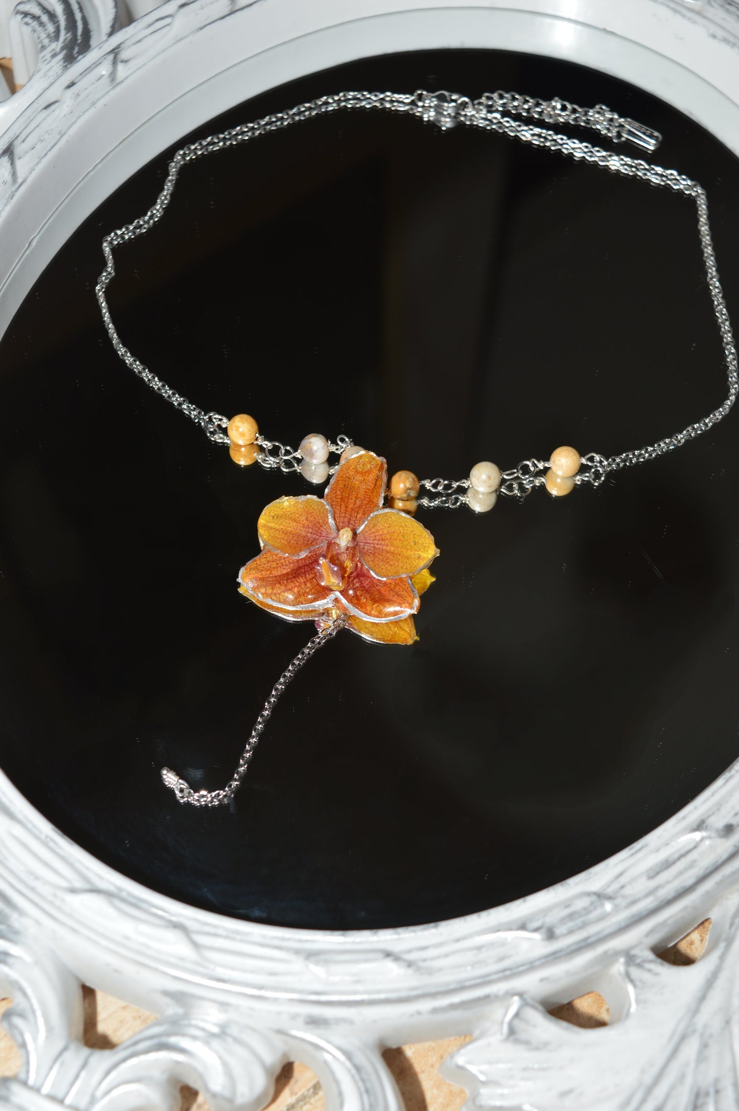 Orquídea Dama del Atardecer