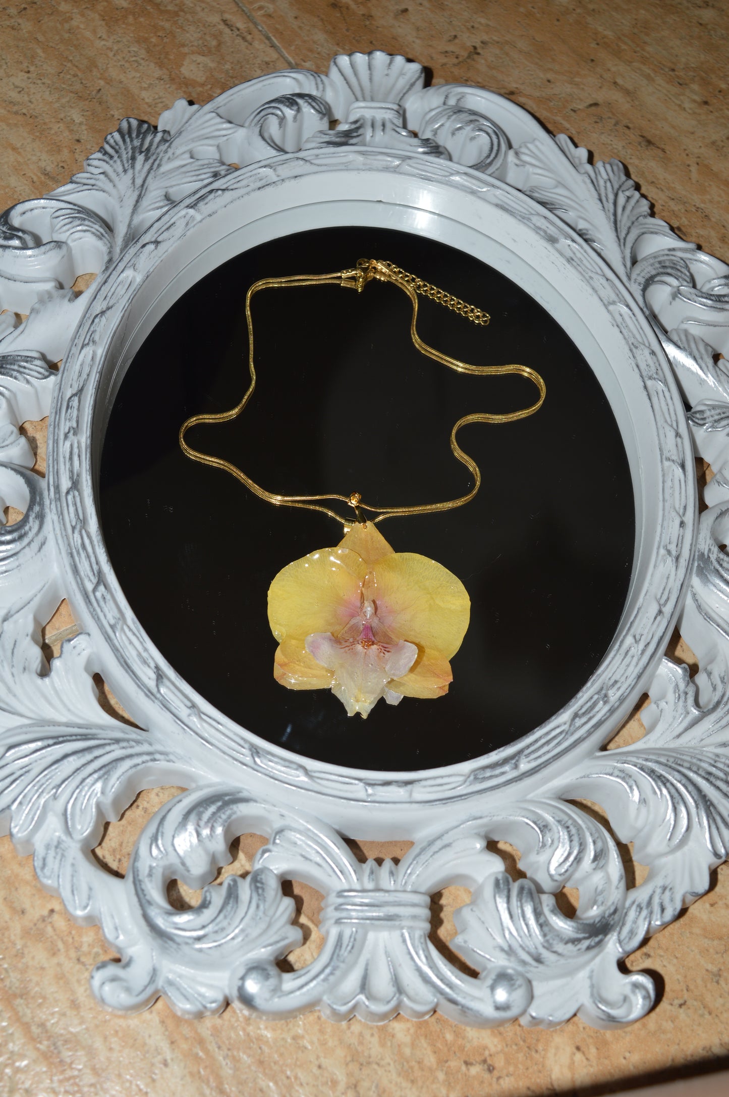 Orquídea Luz Dorada