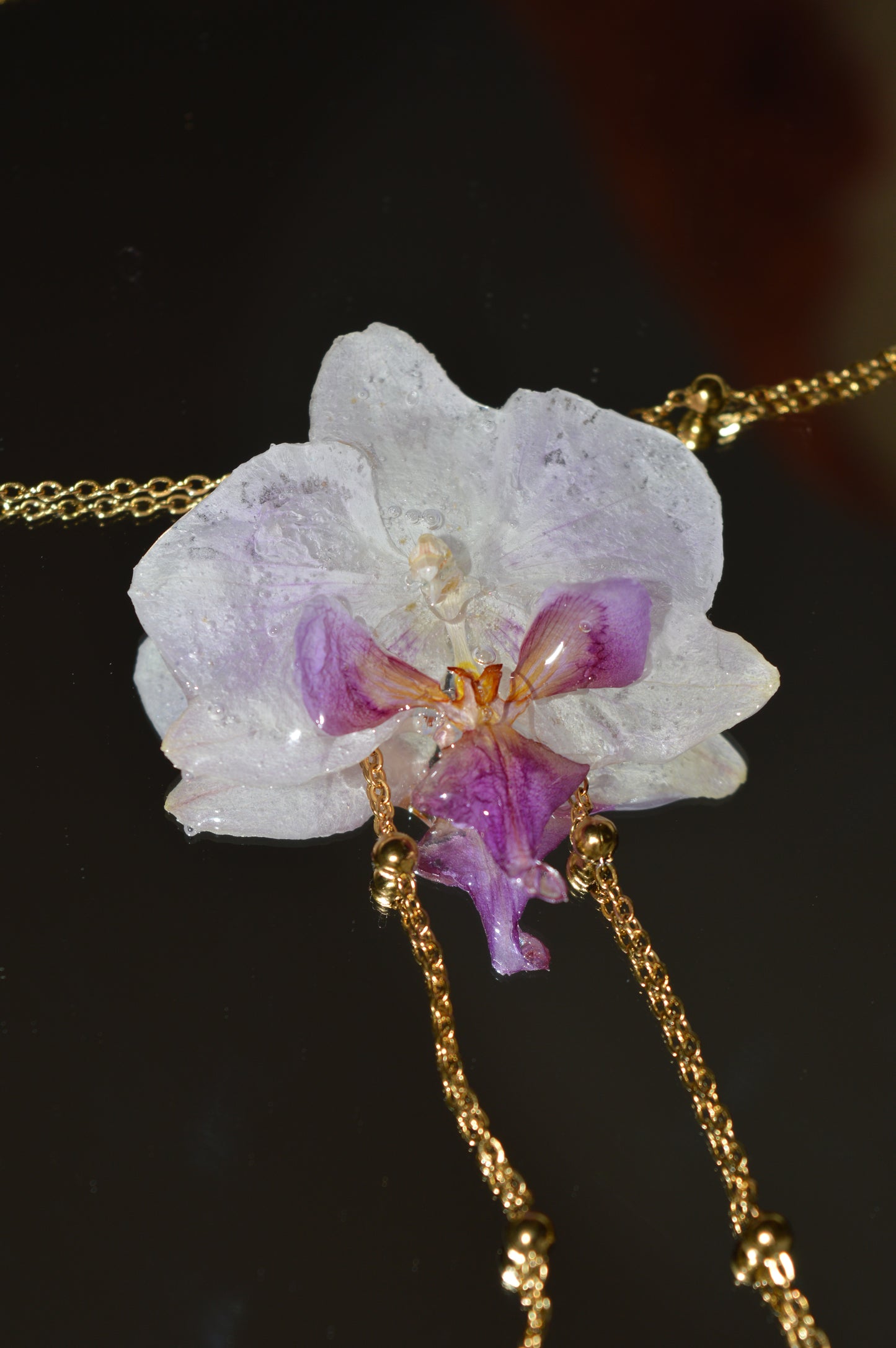 Orquídea Lavanda Lunar