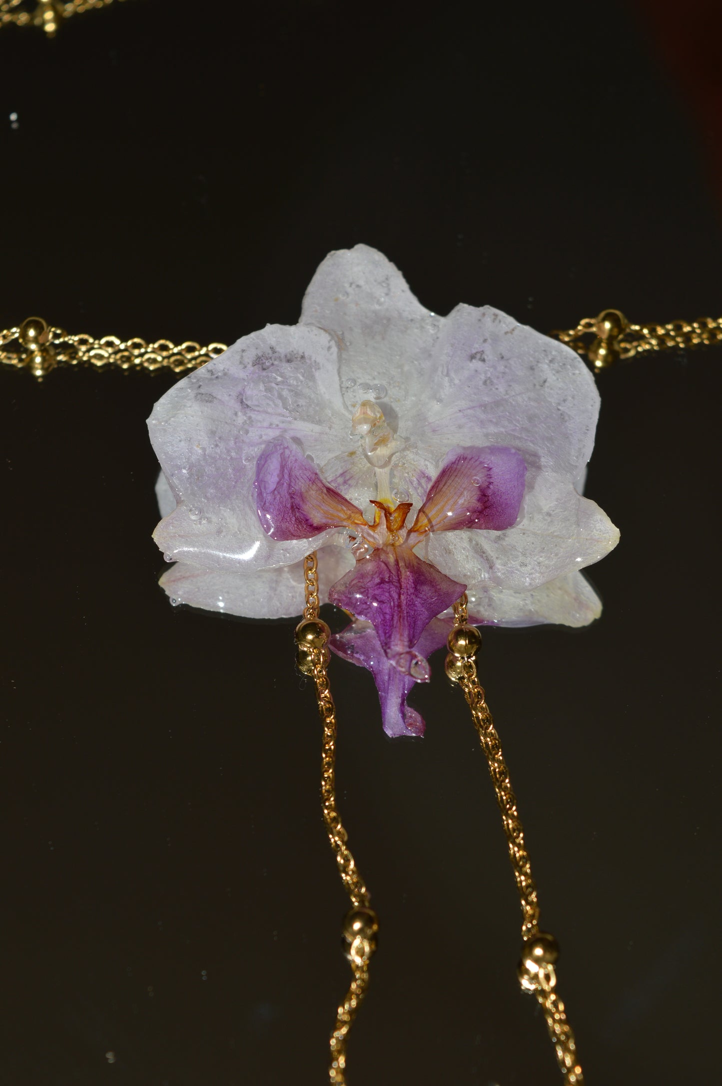 Orquídea Lavanda Lunar
