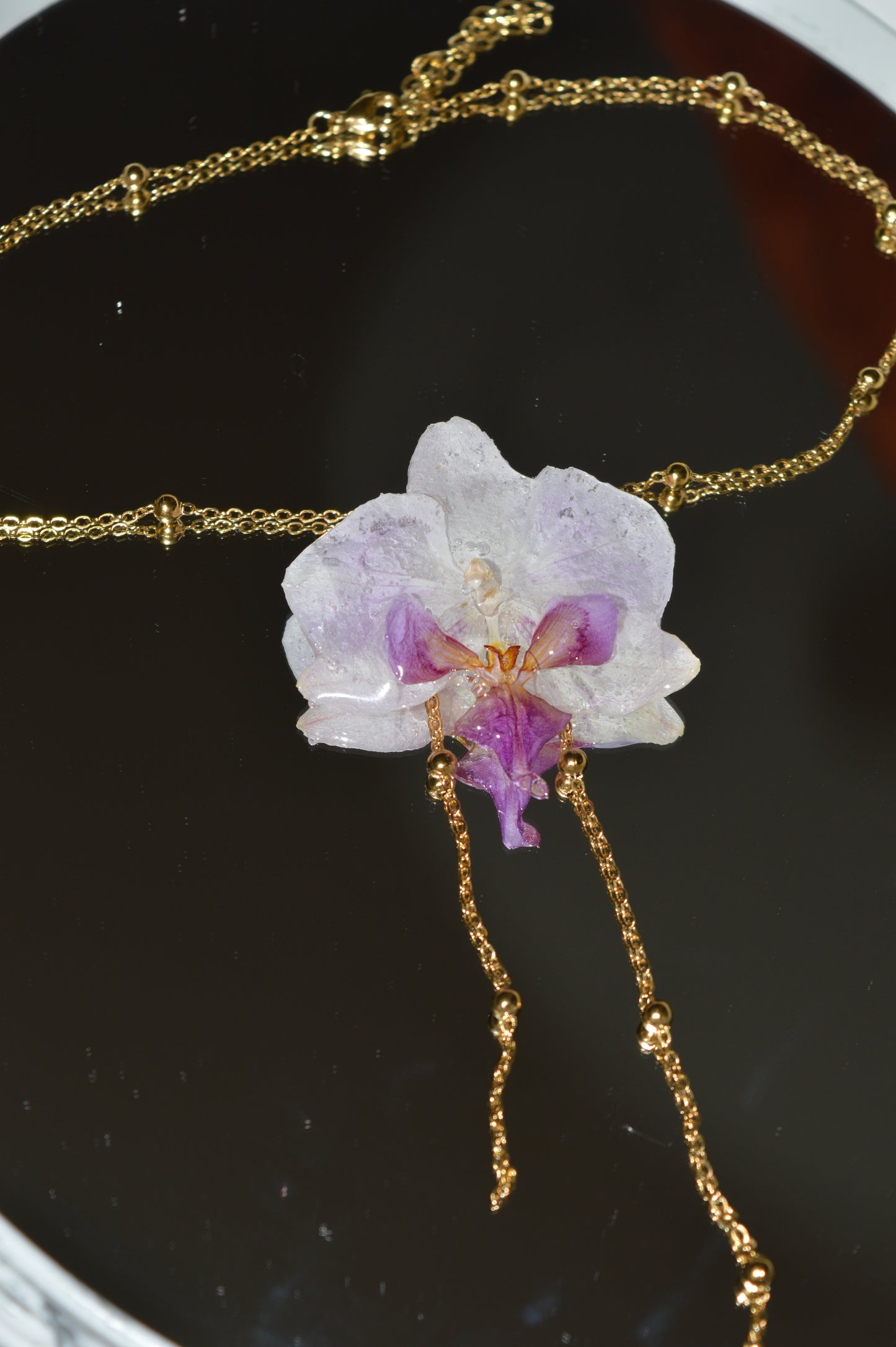 Orquídea Lavanda Lunar