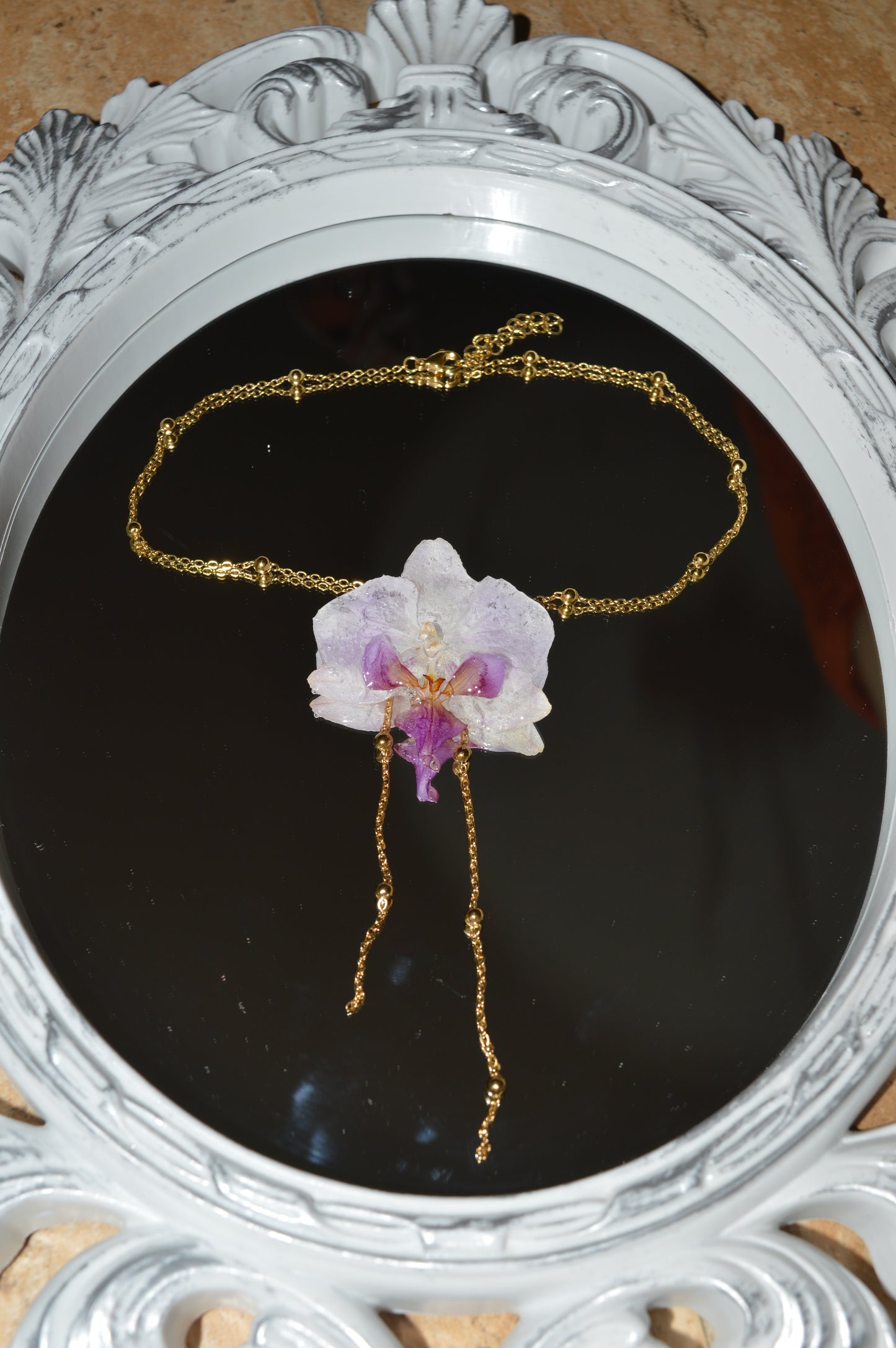 Orquídea Lavanda Lunar