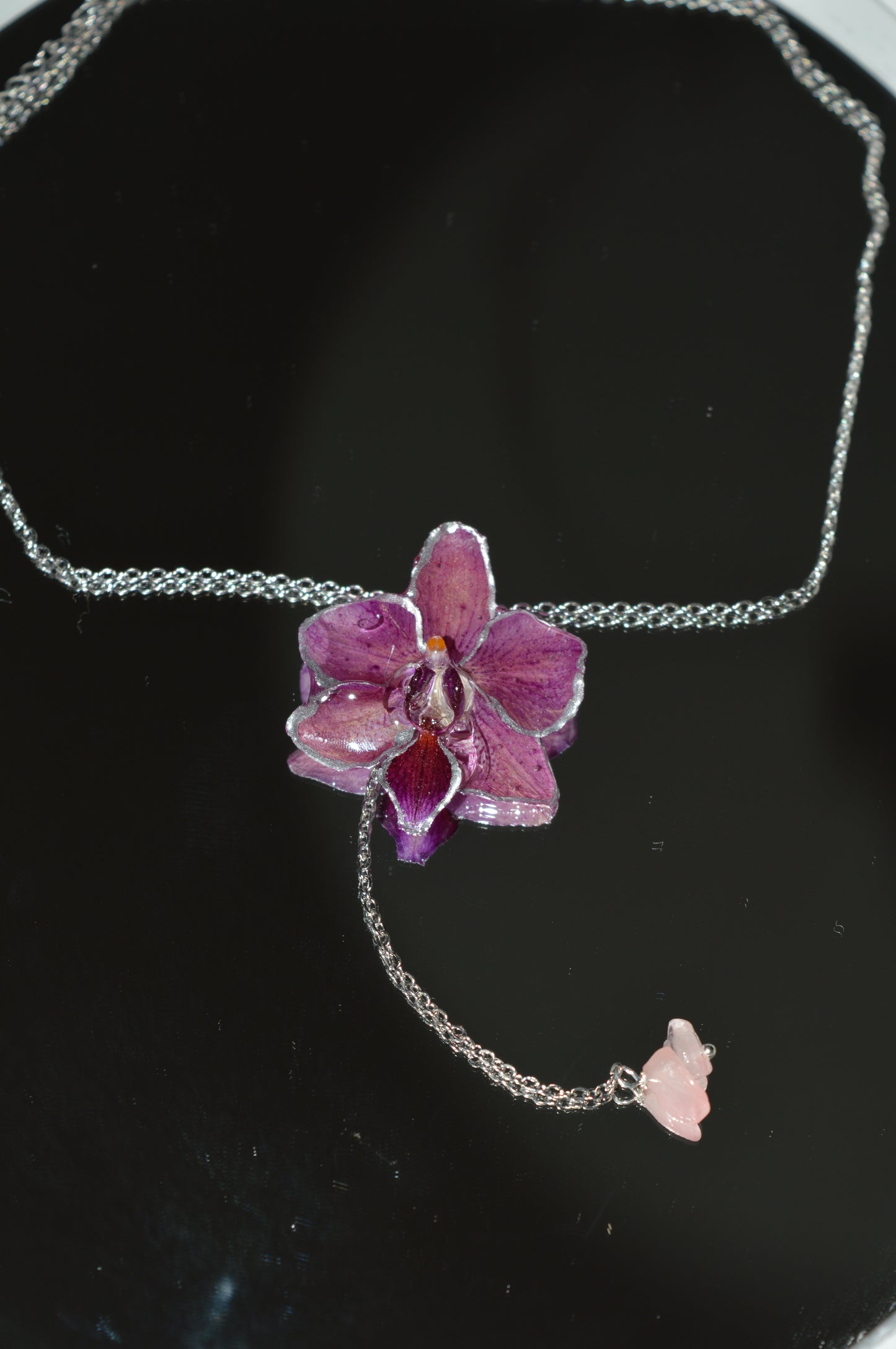 Orquídea Púrpura Nocturna