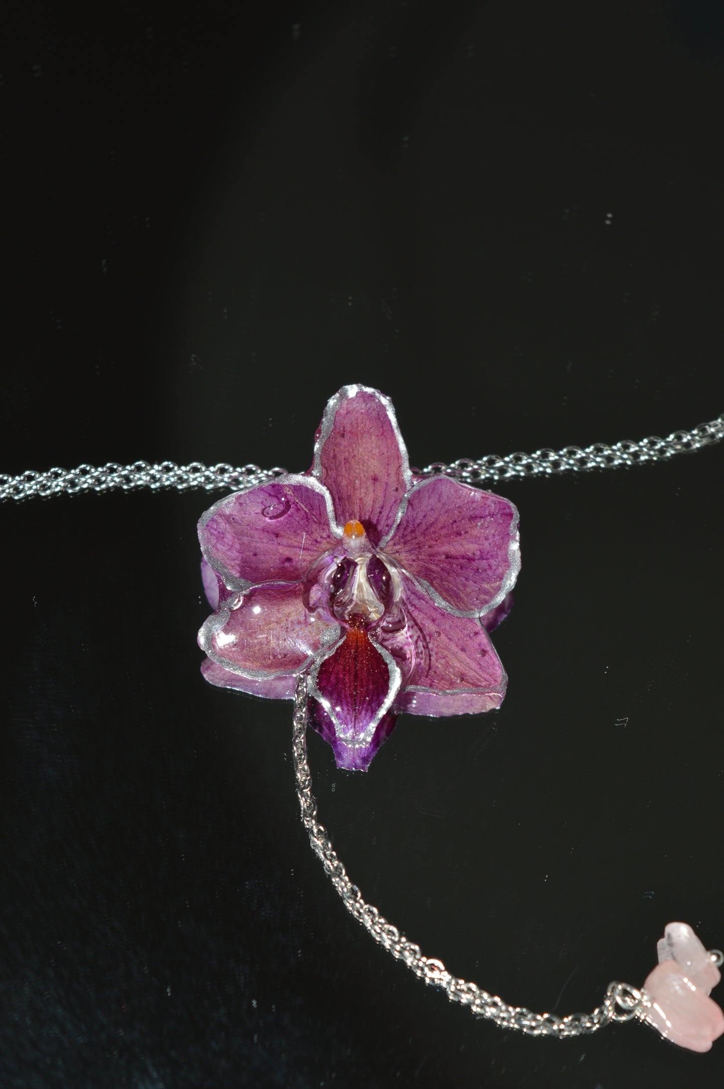 Orquídea Púrpura Nocturna
