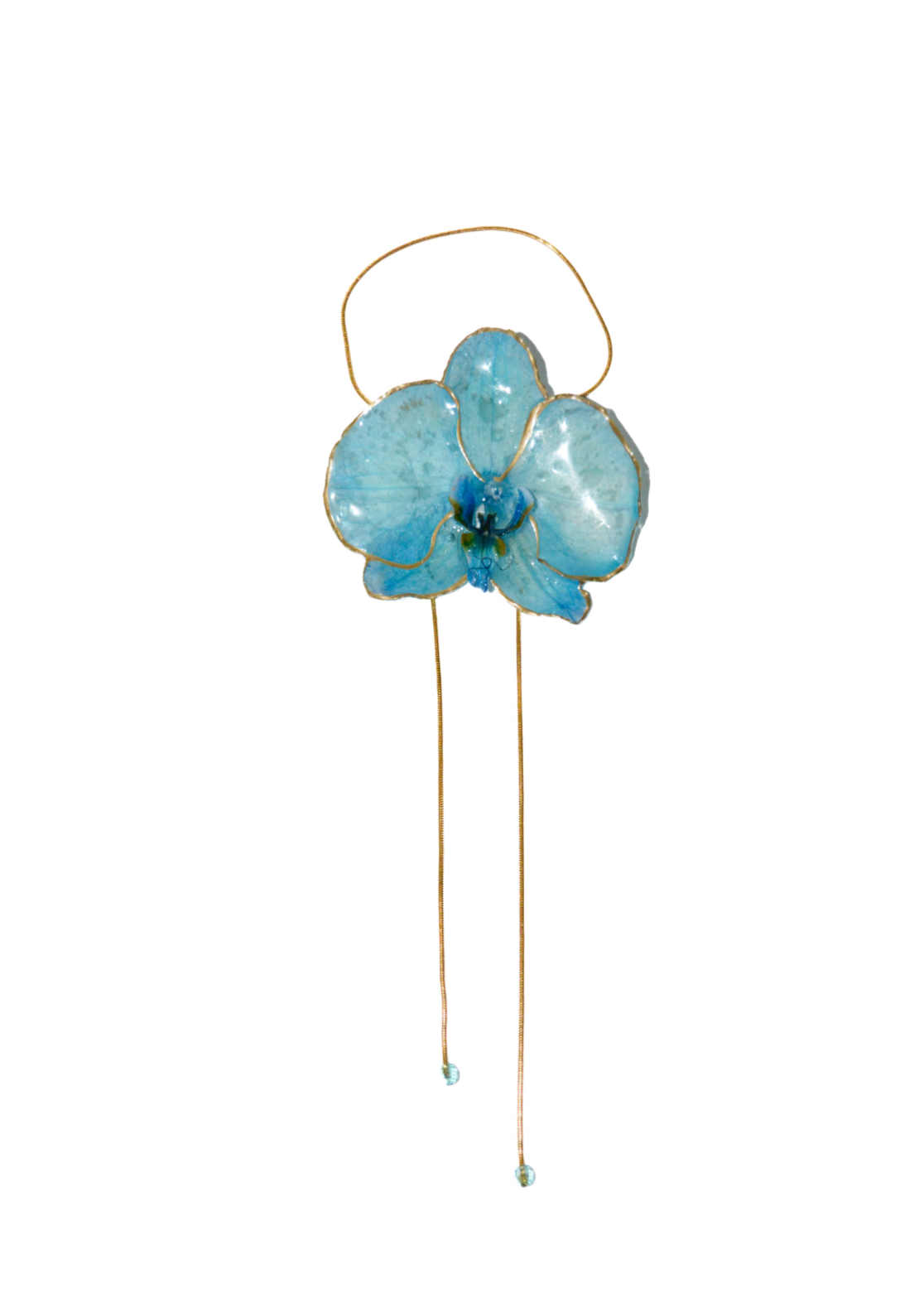 Orquídea Mora