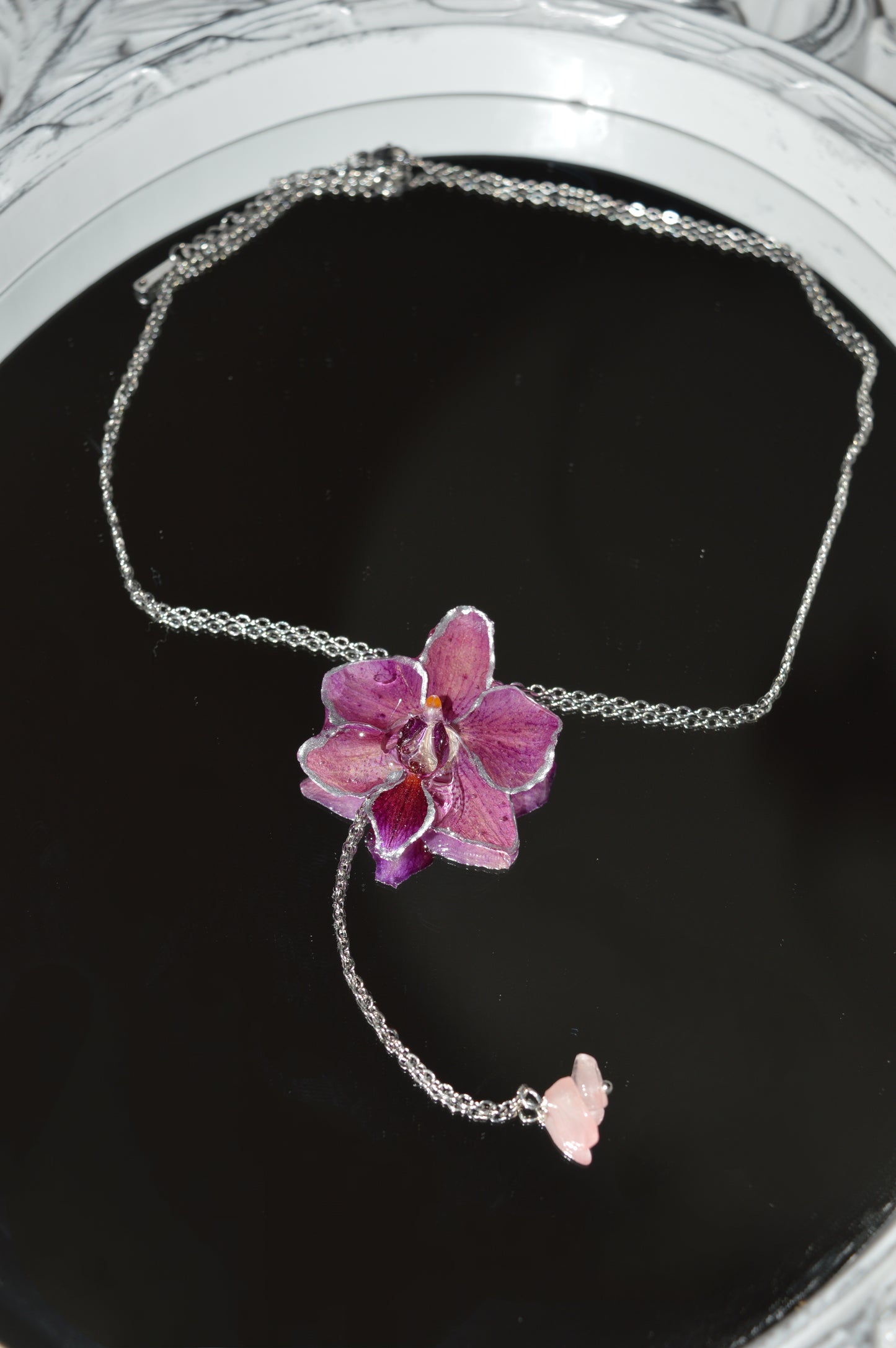 Orquídea Púrpura Nocturna