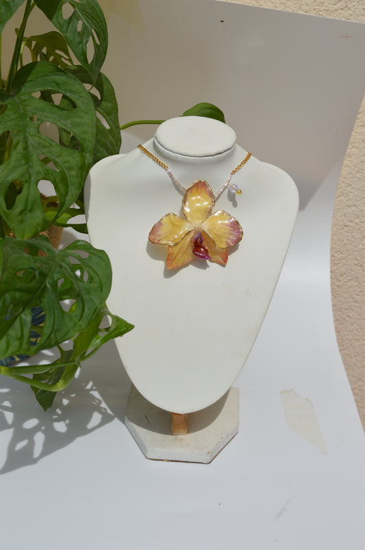 Orquídea Fresa y Lima