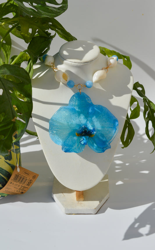 Orquídea Baño en el Mediterráneo