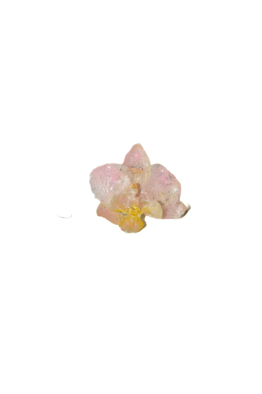 Pequeña Flor