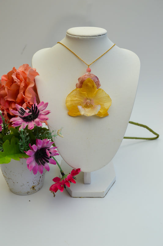 Orquídea Luna Marina