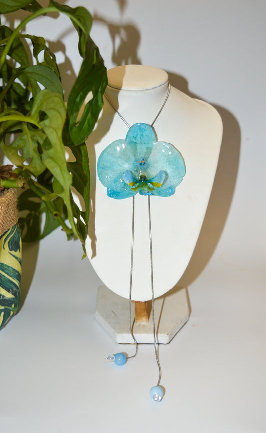 Orquídea Medusa Algodón Azul