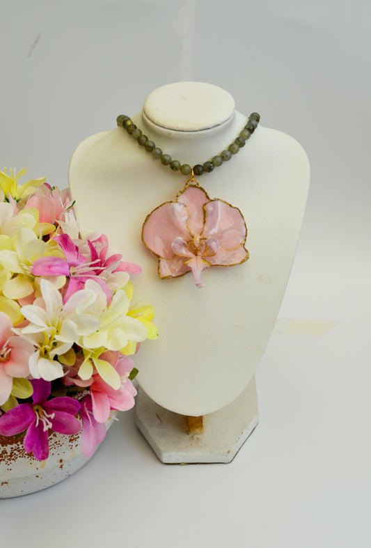 Orquídea Aura Medieval