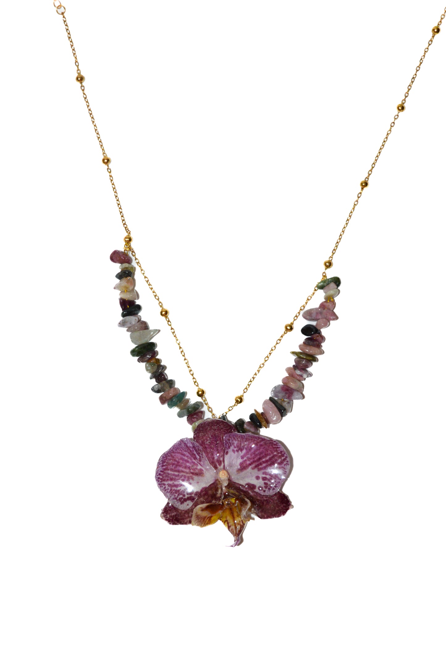 Orquídea Confeti