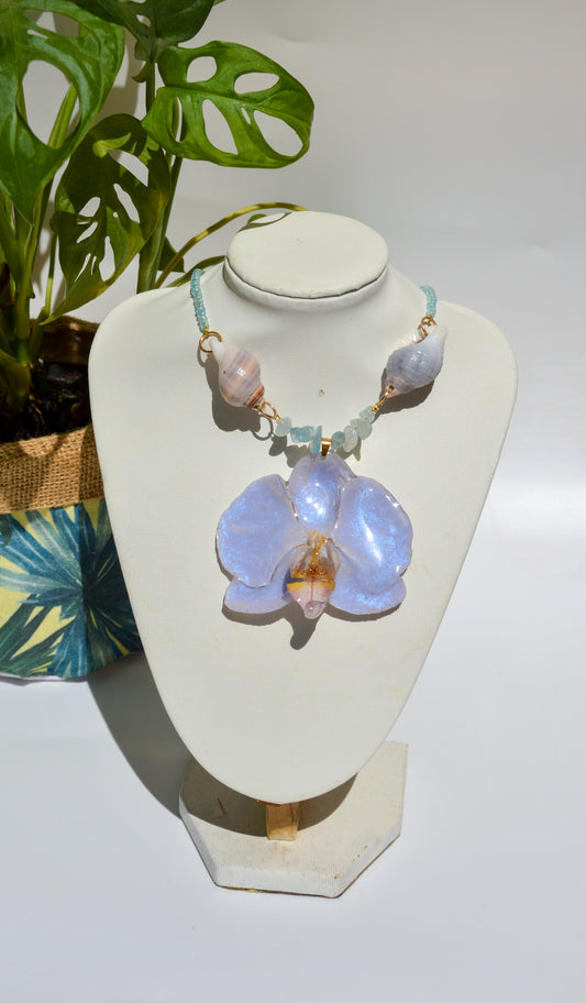 Orquídea Blue Swing