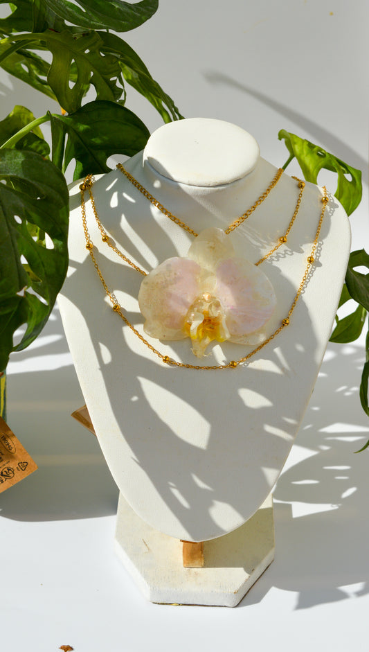 Orquídea Flora Bright