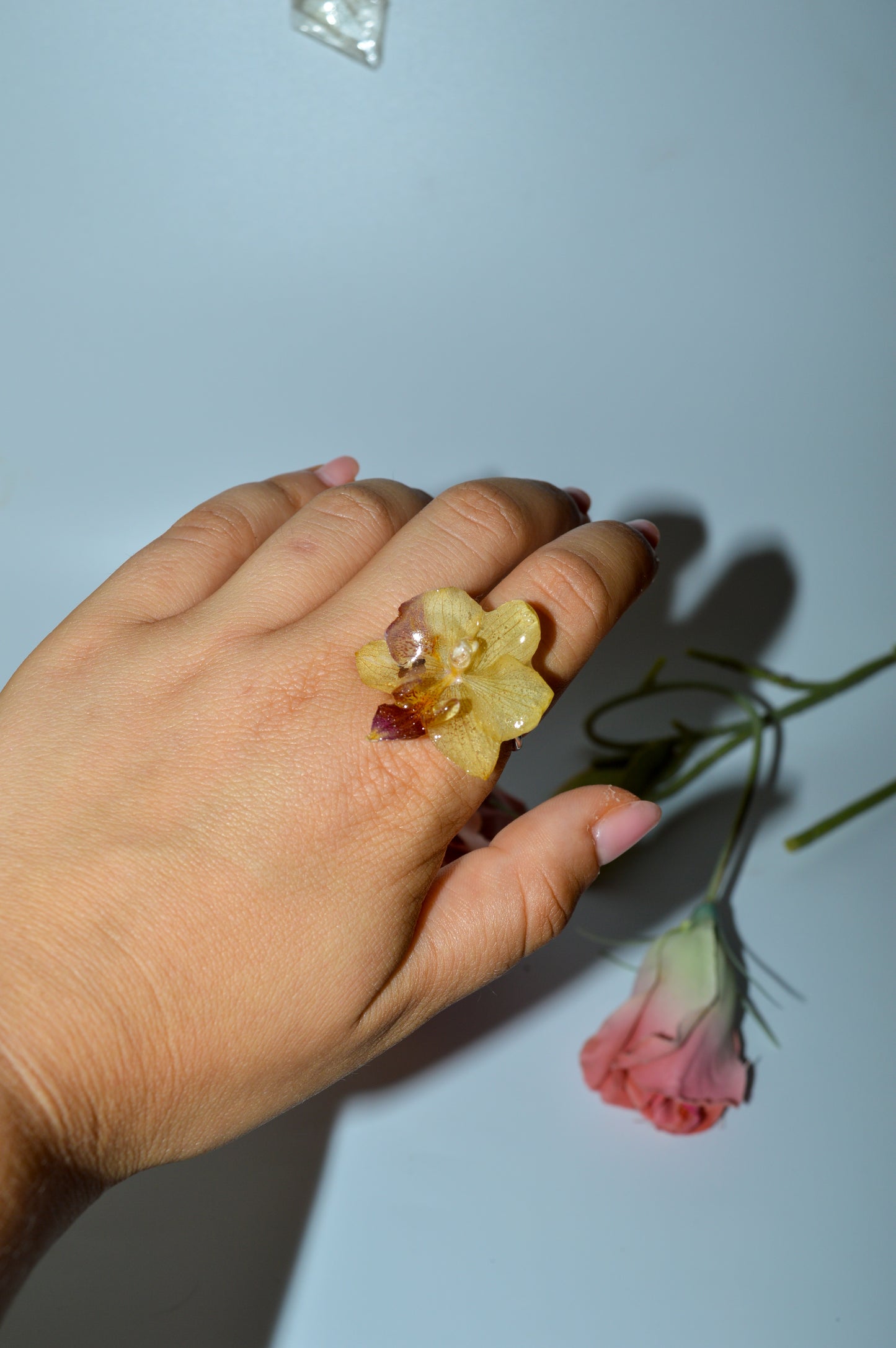 Anillo Orquídea Especial