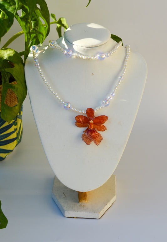 Orquídea Lago de los Cisnes