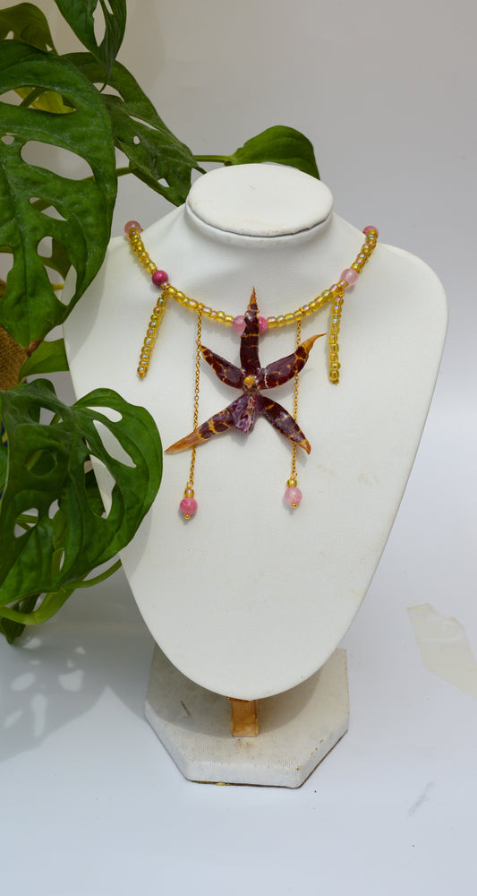 Orquídea Lluvia De Primavera