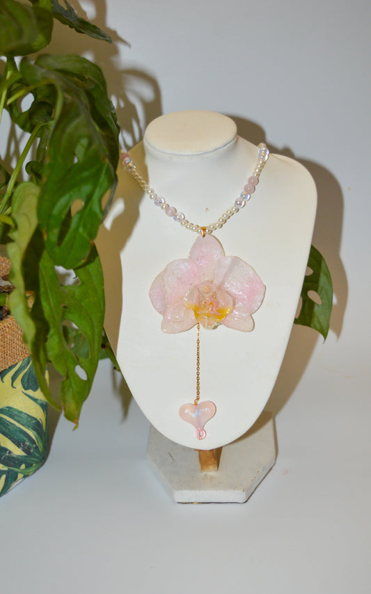 Orquídea Melodía Dulce