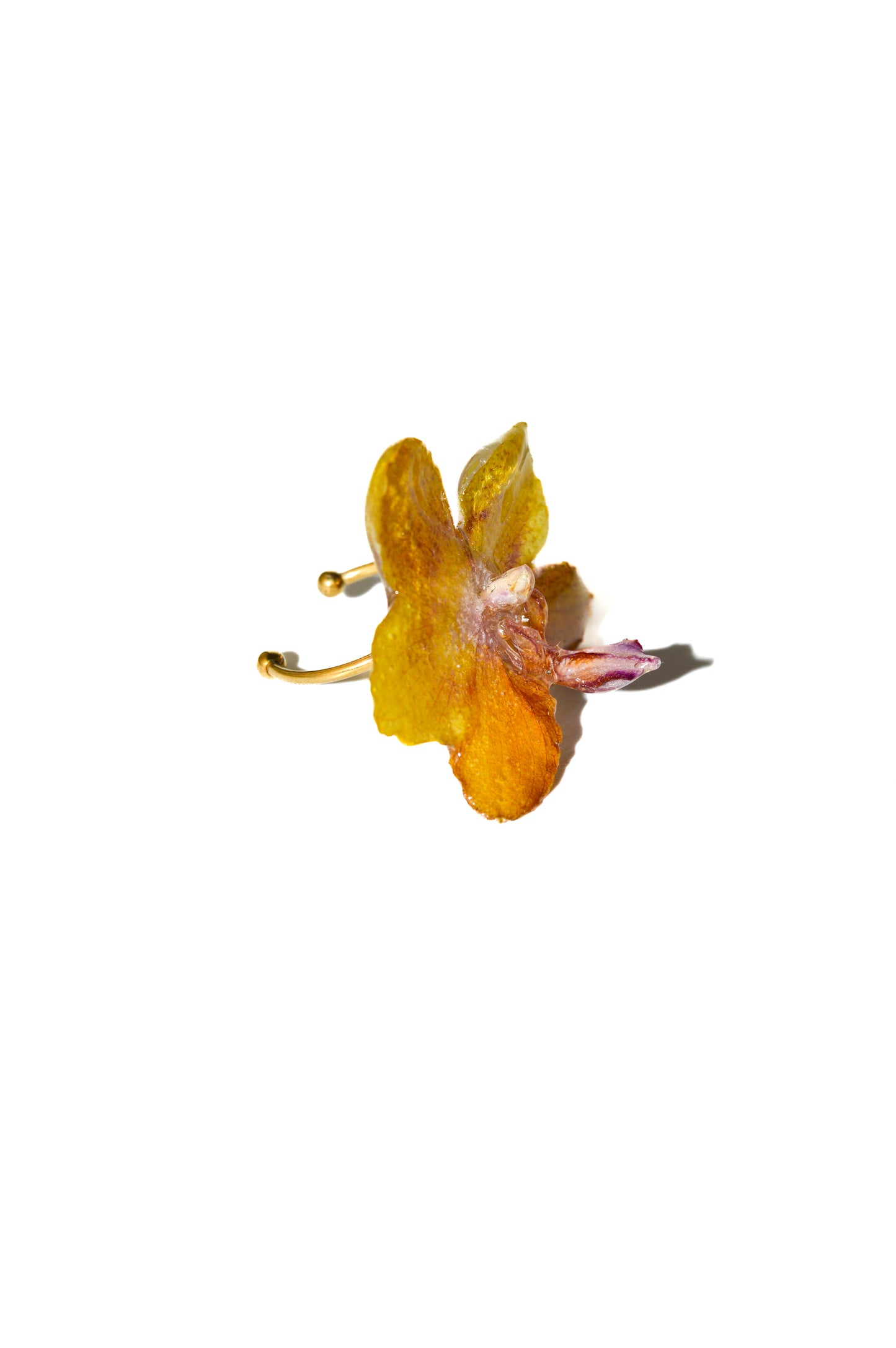 Mandarina Dulce