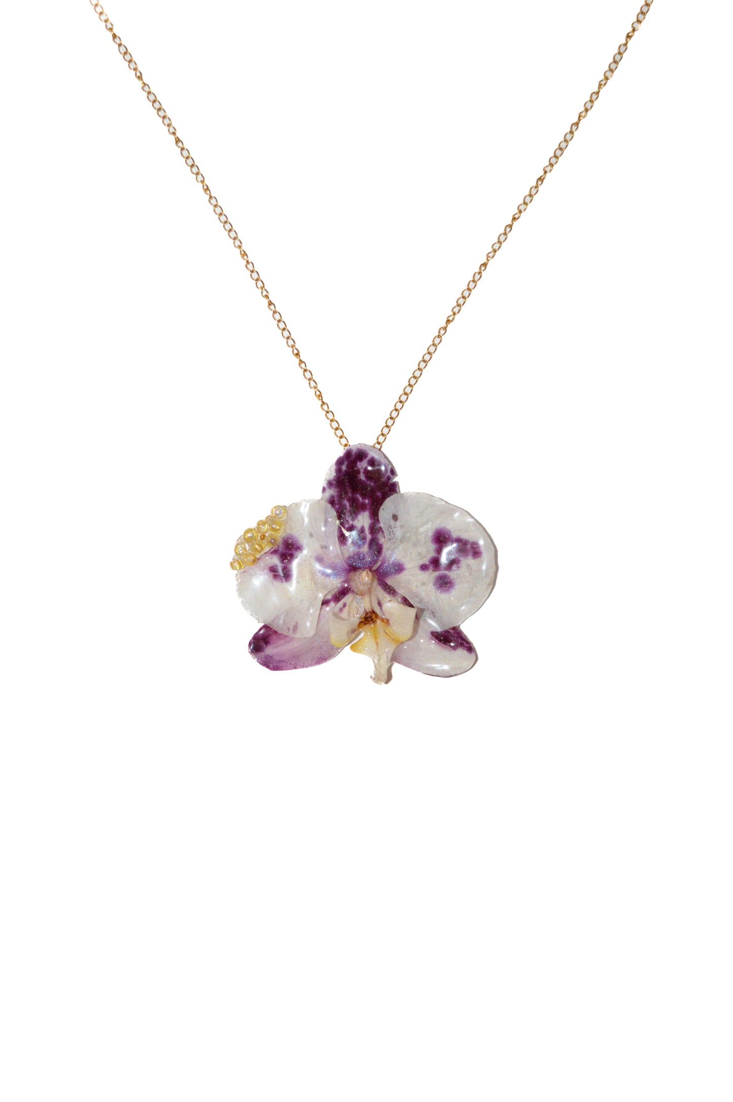 Orquídea Burbujas