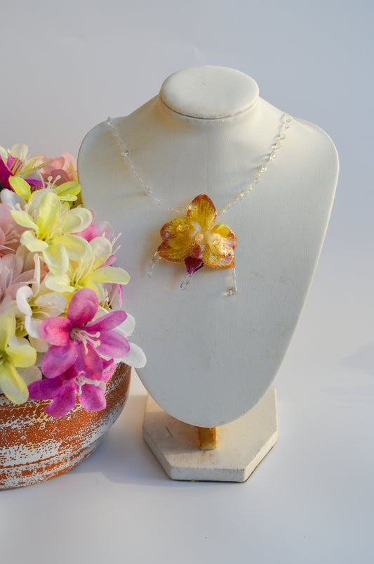 Orquídea Pequeña Gota