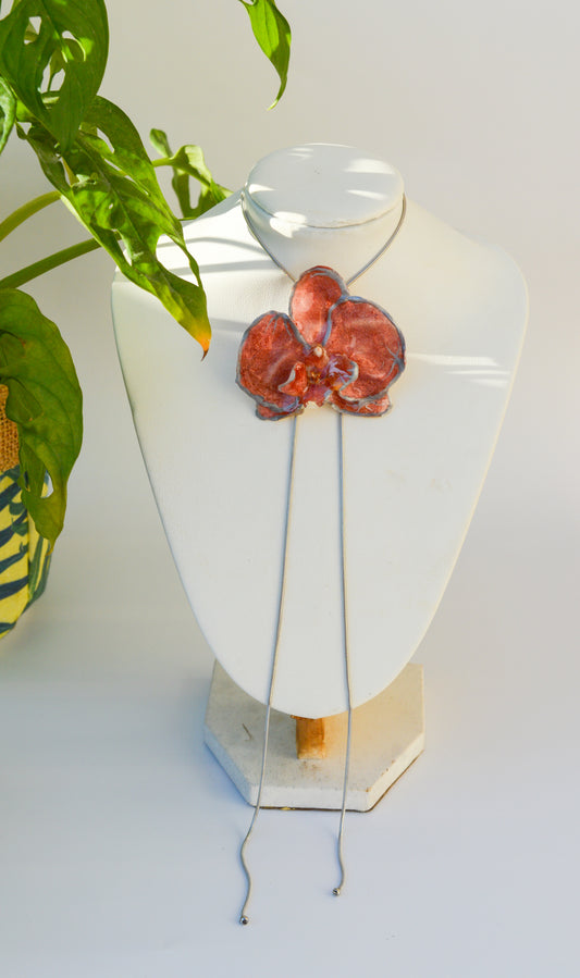 Orquídea Medusa Pumpkin