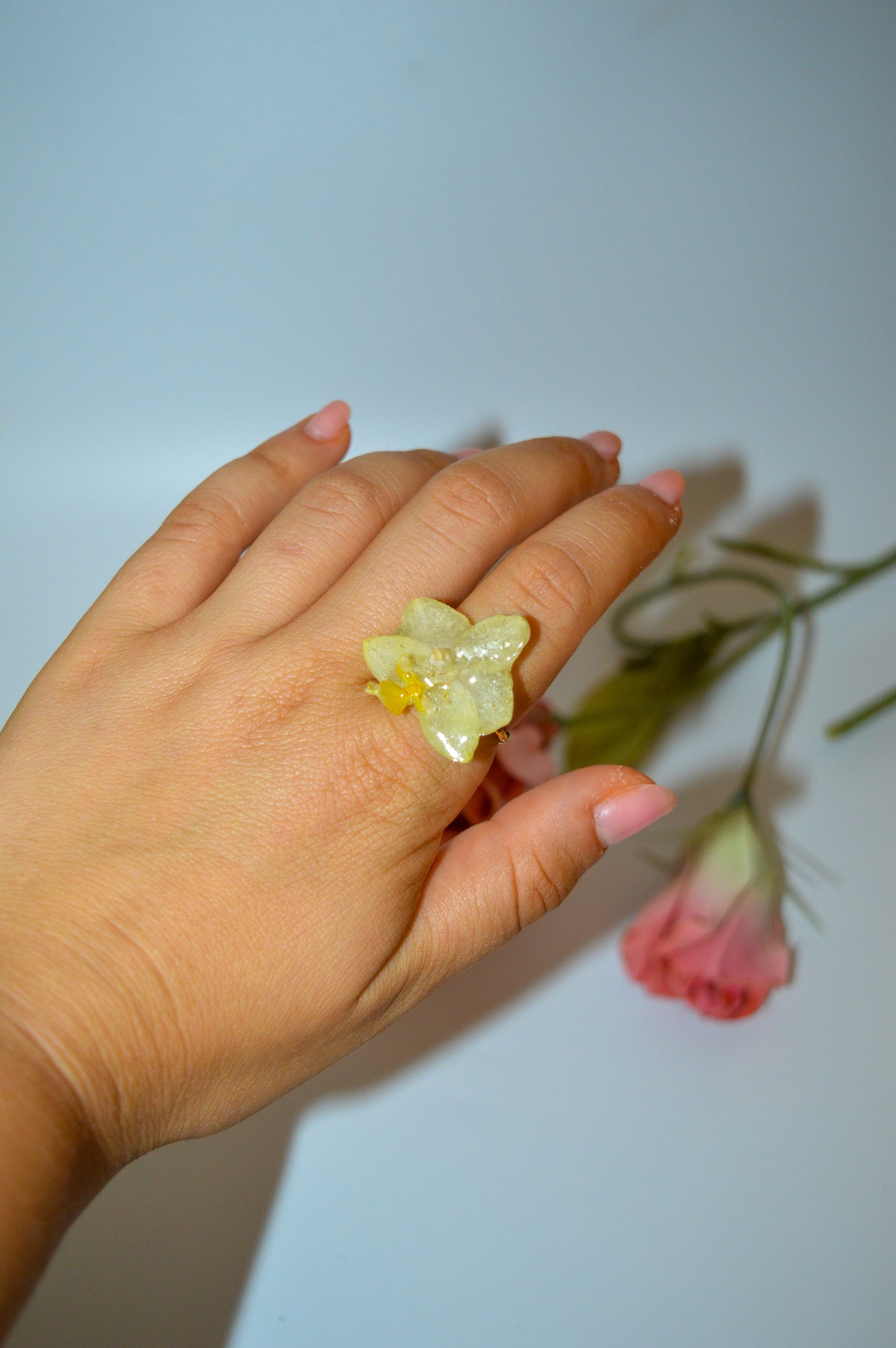 Anillo Orquídea Vainilla
