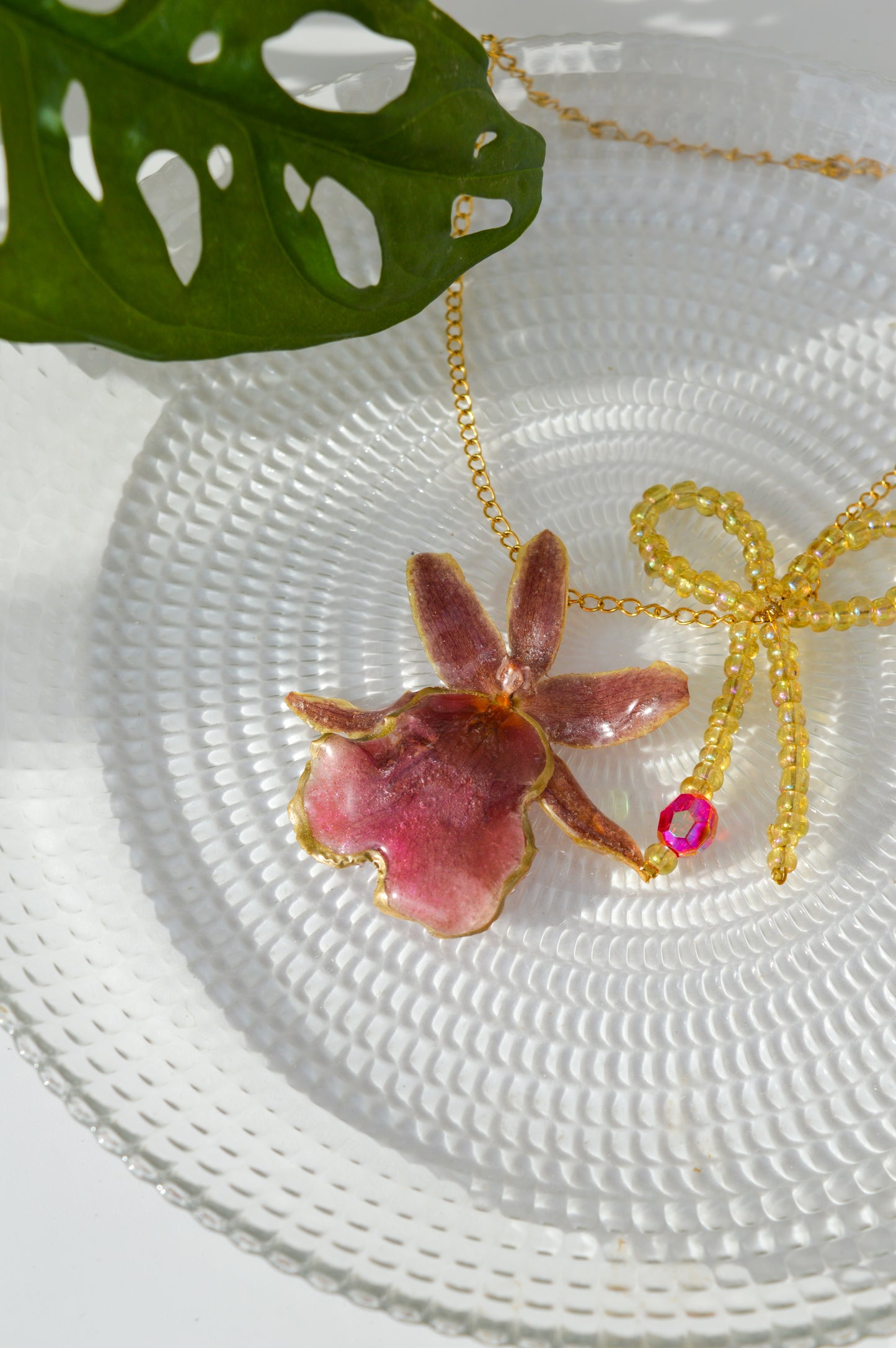 Orquídea Coquette