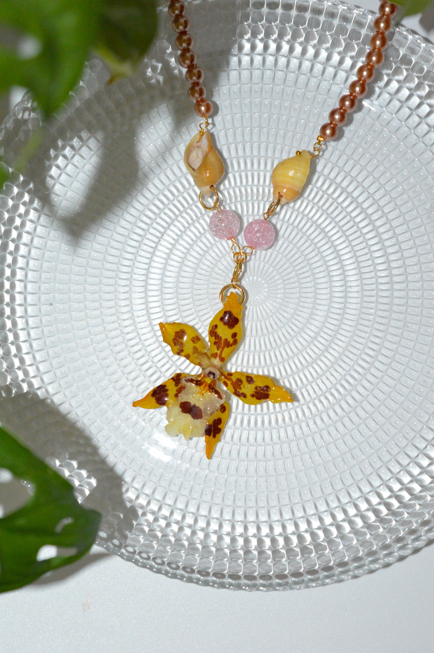 Orquídea Atardecer Rosado