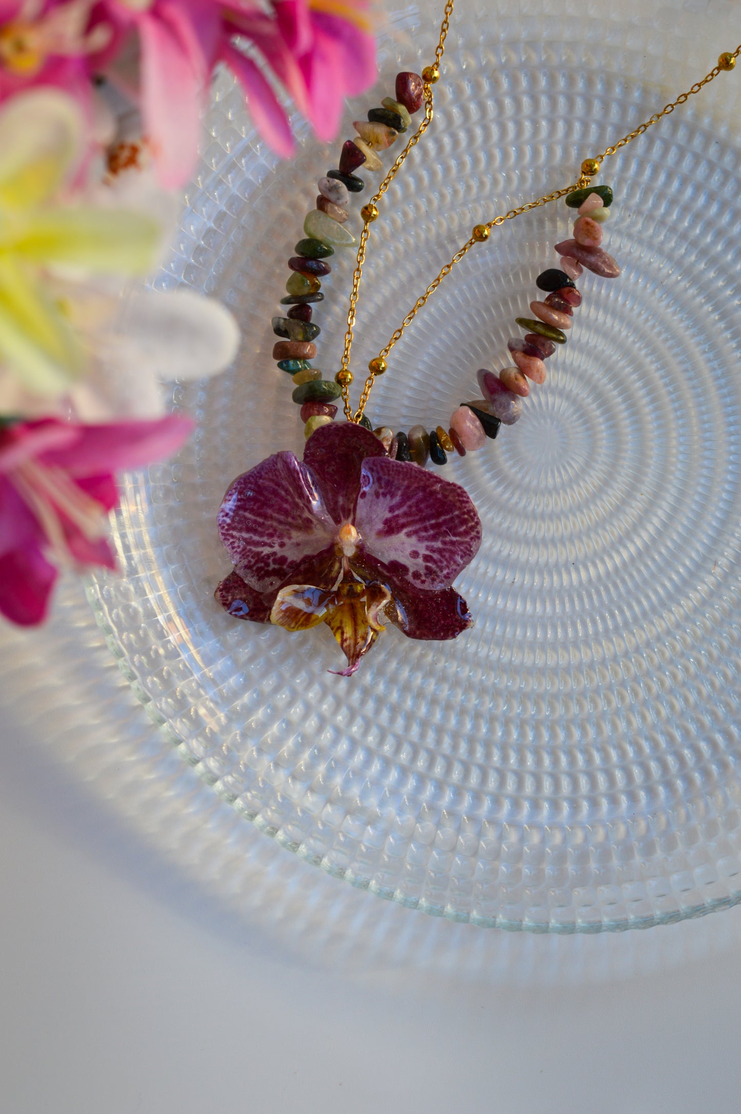 Orquídea Confeti