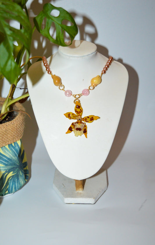 Orquídea Atardecer Rosado