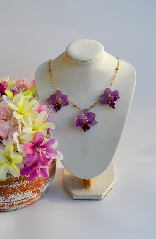 Orquídeas Super Nenas