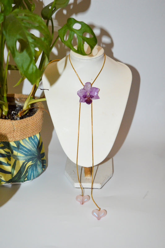 Orquídea Medusa Little Heart