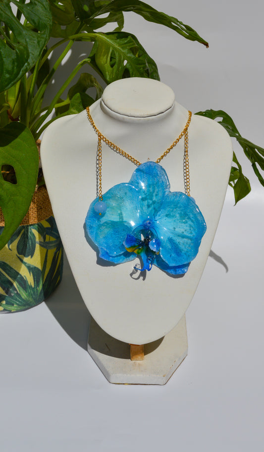 Orquídea Live in Blue