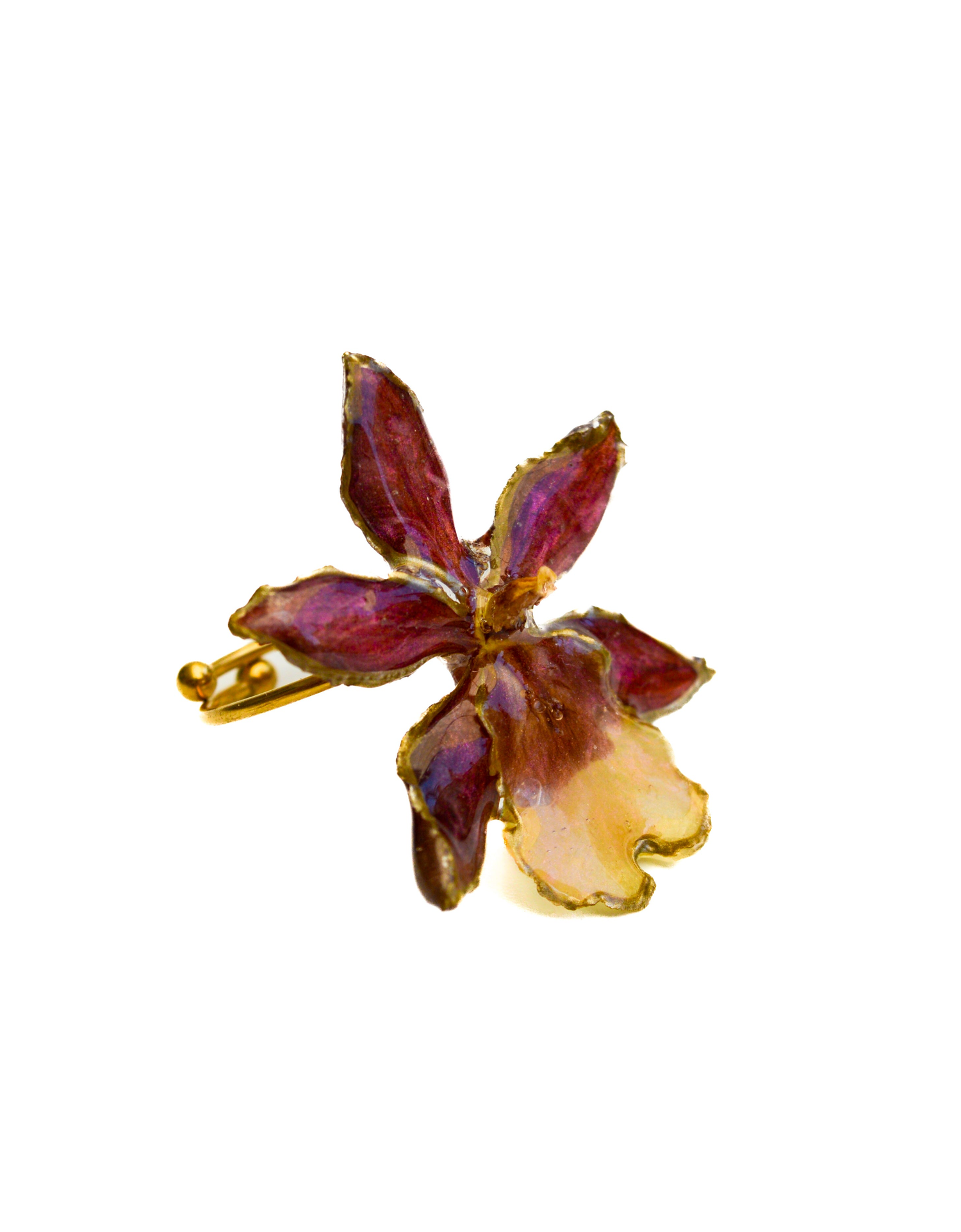 Anillos