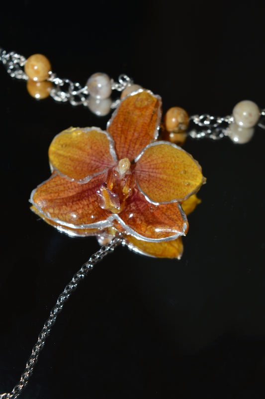 Orquídea Dama del Atardecer