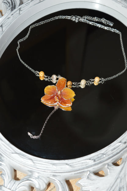 Orquídea Dama del Atardecer