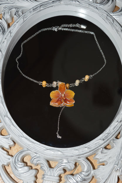 Orquídea Dama del Atardecer