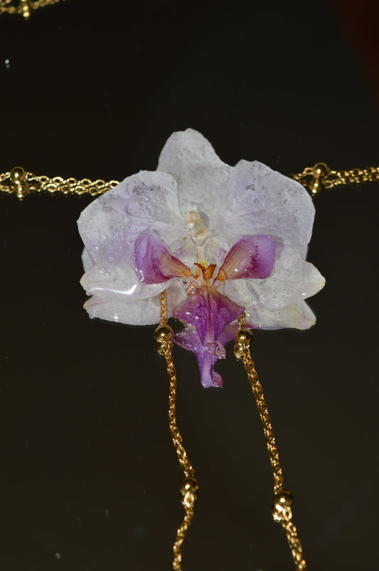 Orquídea Lavanda Lunar