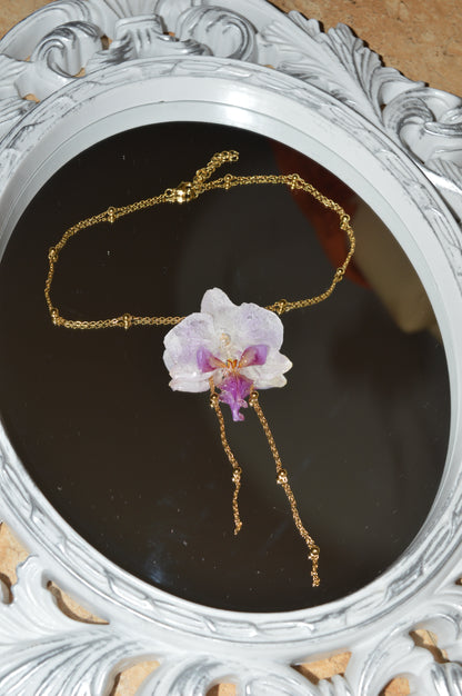 Orquídea Lavanda Lunar