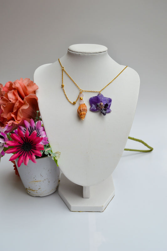 Orquídea Sirena