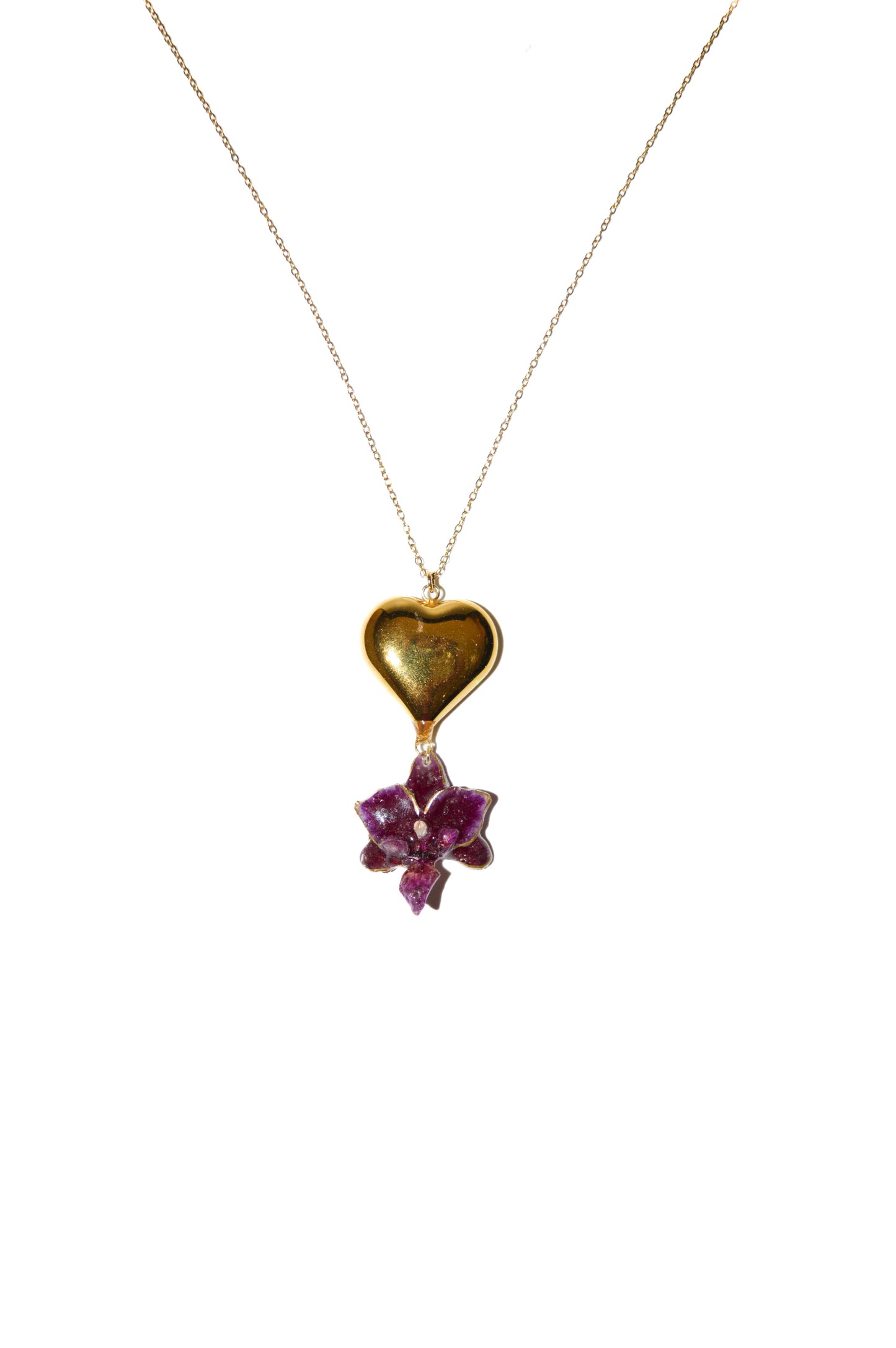 Orquídea Fuego Veraniego
