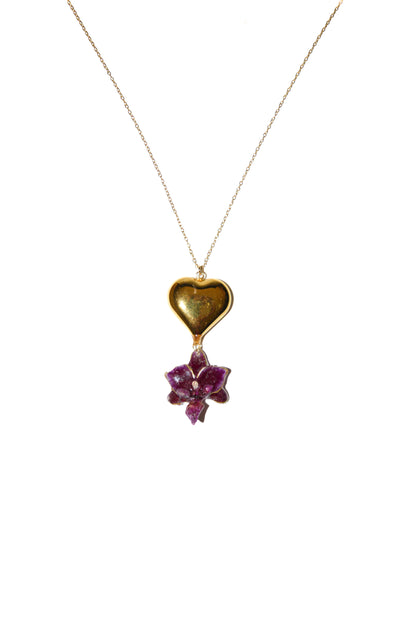 Orquídea Fuego Veraniego