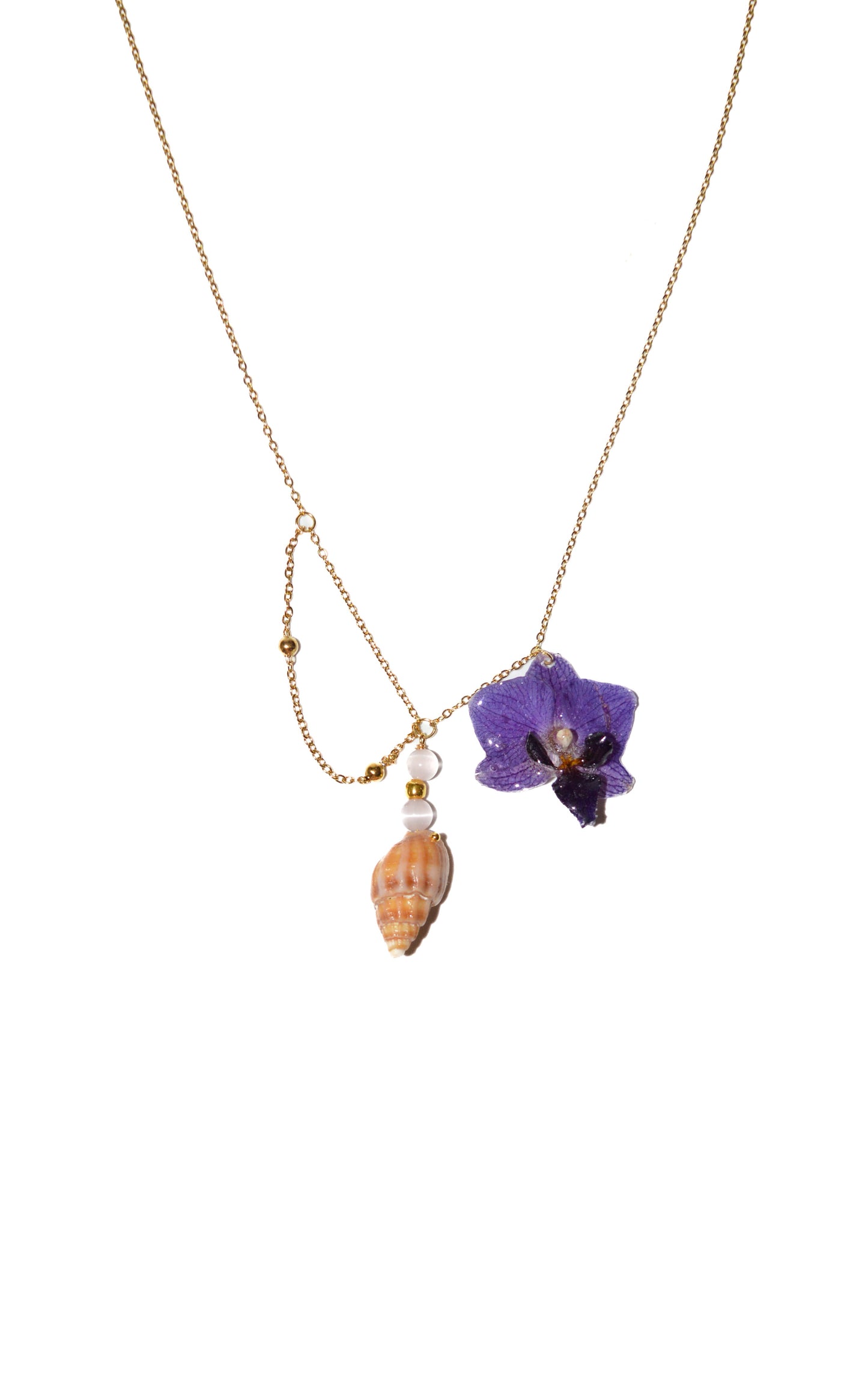 Orquídea Sirena