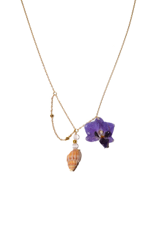 Orquídea Sirena