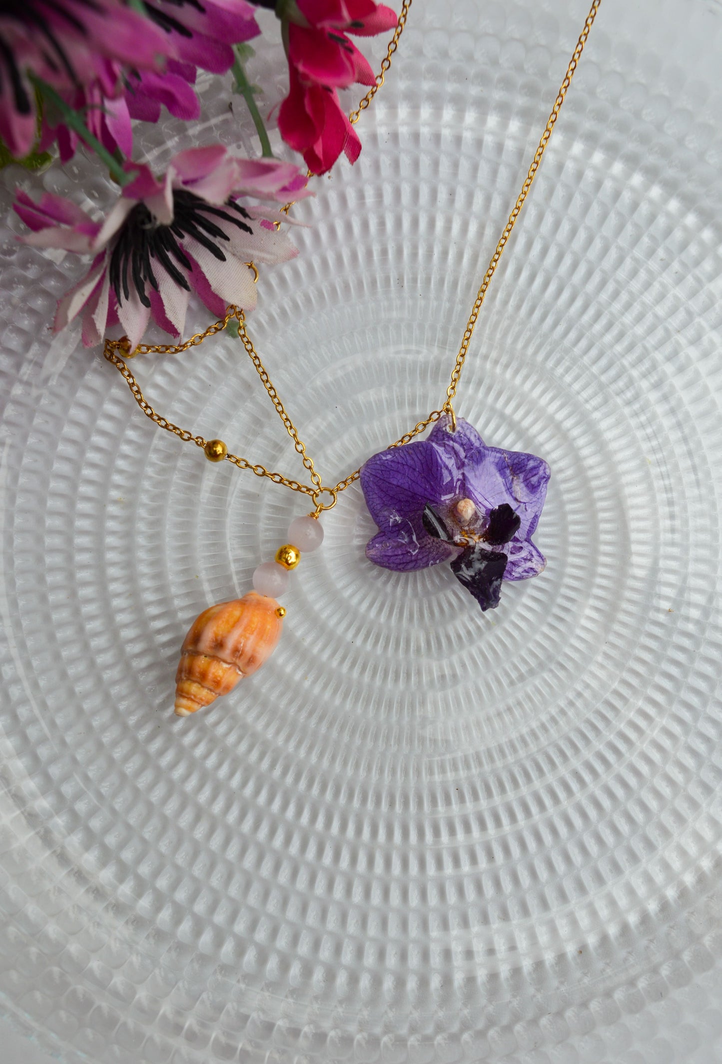 Orquídea Sirena
