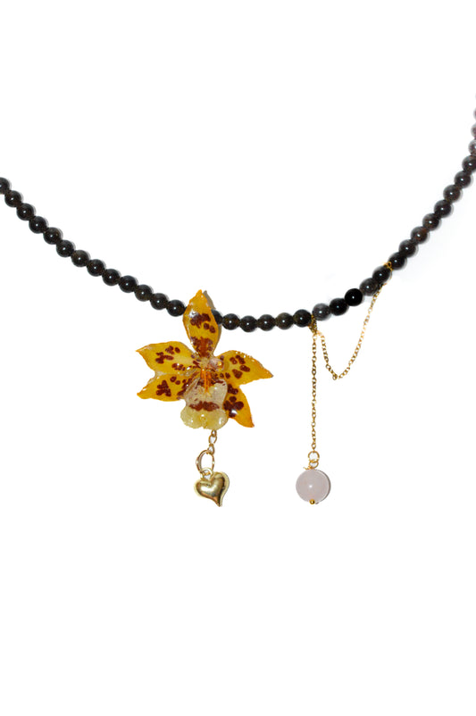 Orquídea Corazón Salvaje